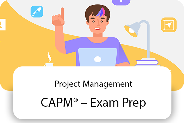 CAPM Test Certification Cost